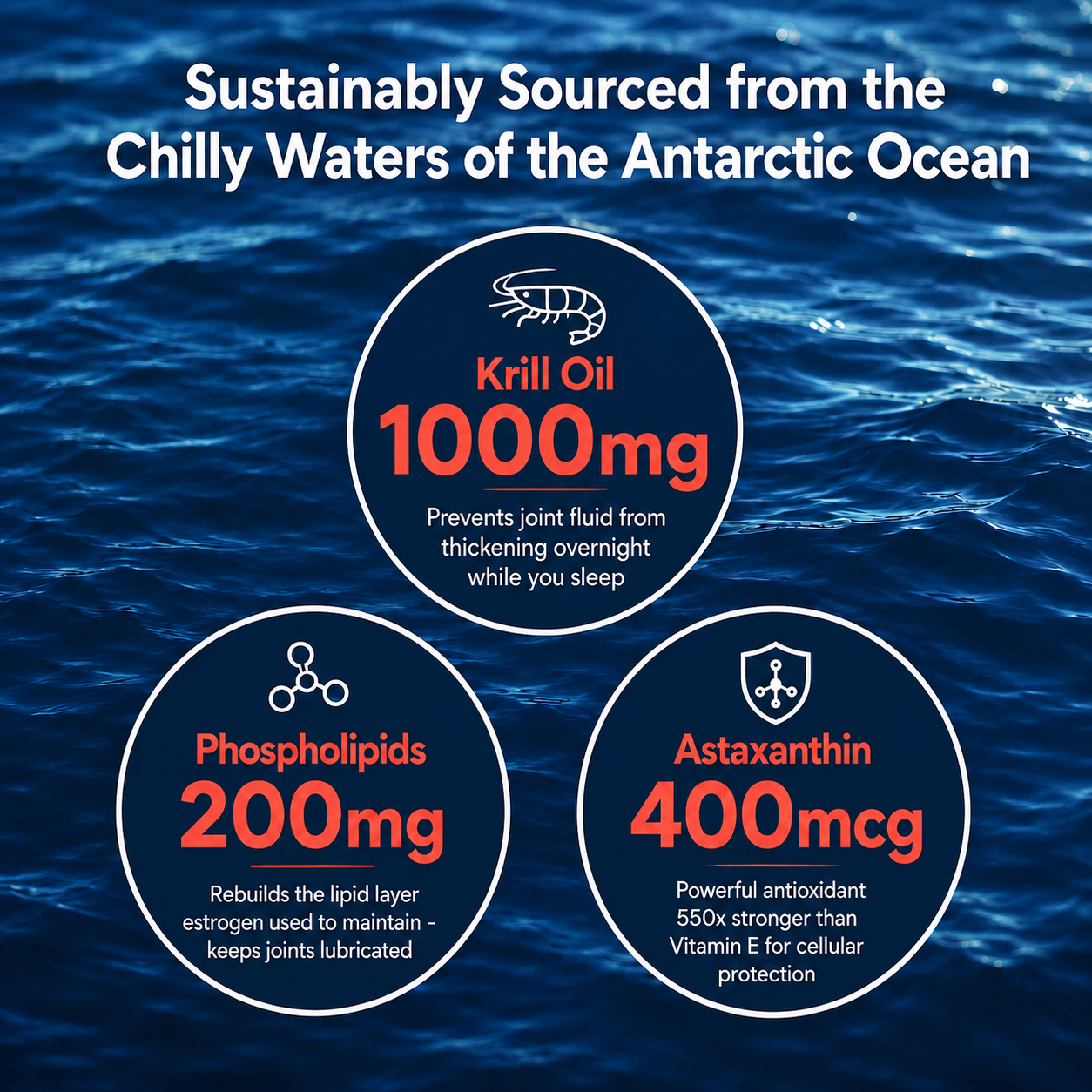 Krill Oil